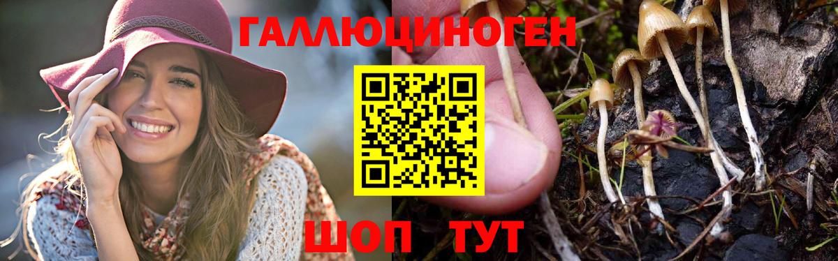 Галлюциногенные грибы MAGIC MUSHROOMS Апшеронск
